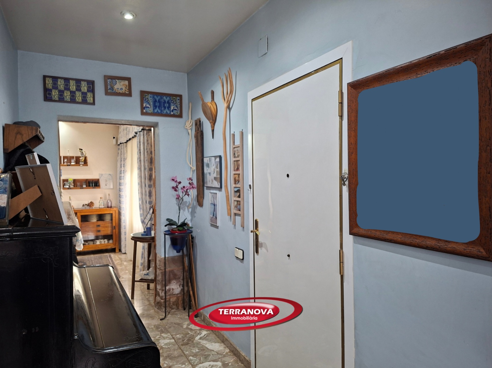 CASA EN UNA SOLA PLANTA CON GRAN PARCELA Y EXCELENTE UBICACIÓN